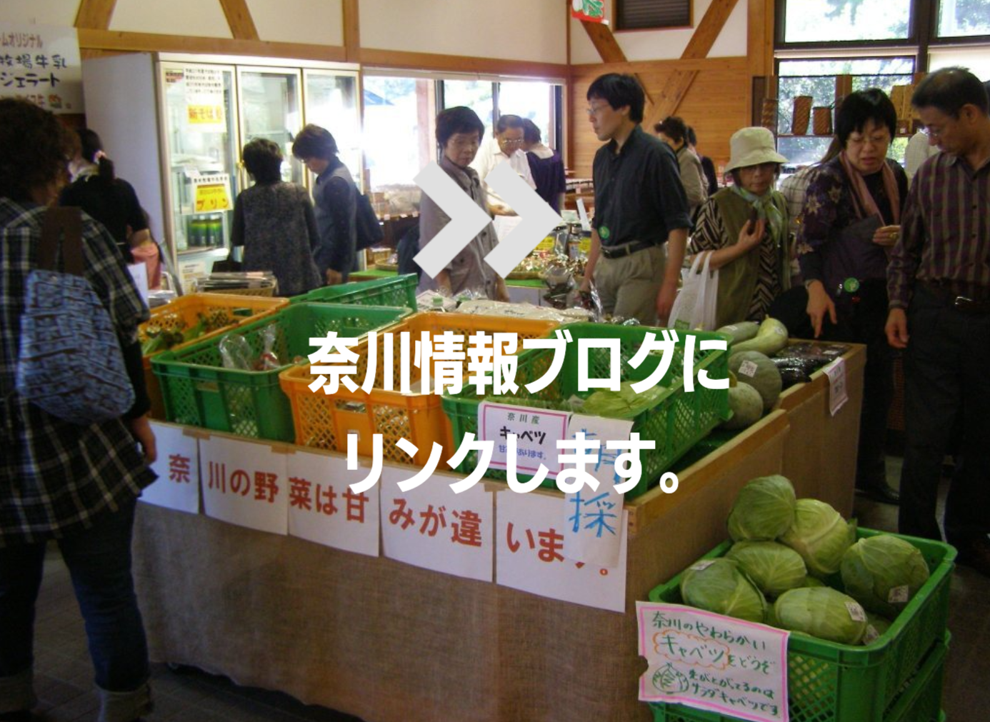 地域情報編集局