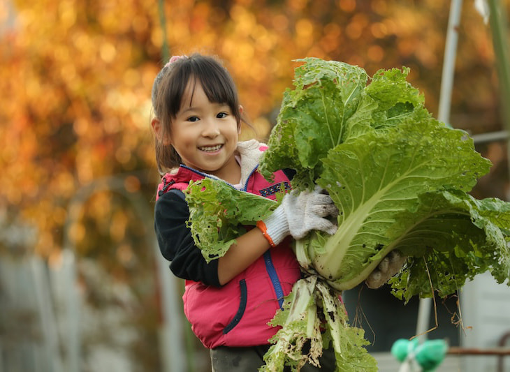 野菜を持つ女の子_クラインガルテン